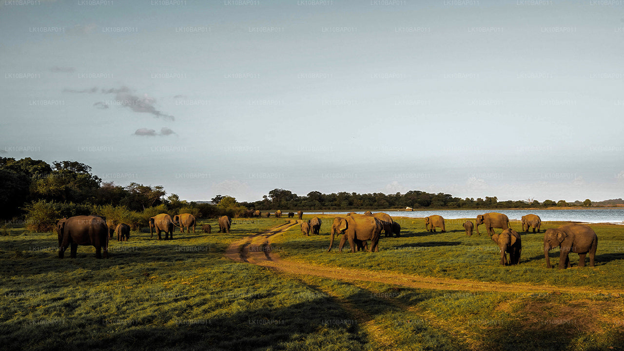 À la découverte du sanctuaire (11 jours)