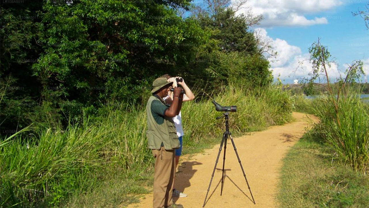 Butterfly Trail (11 jours)