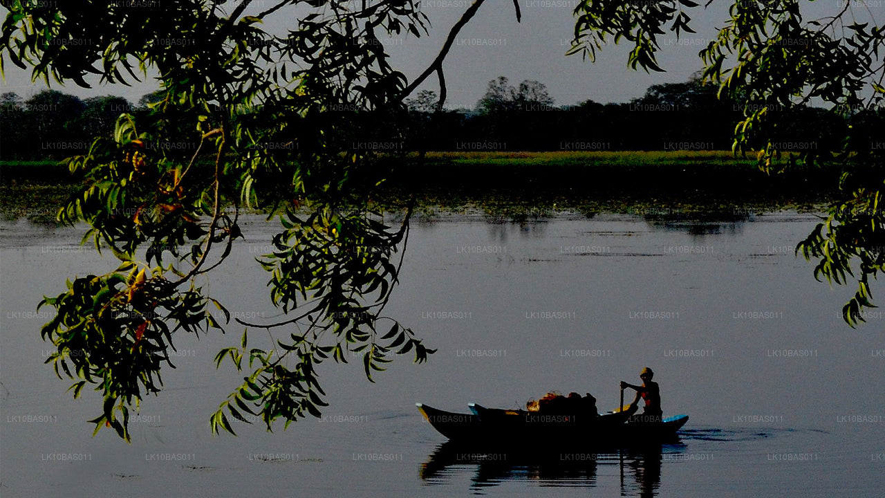 Butterfly Trail (11 jours)