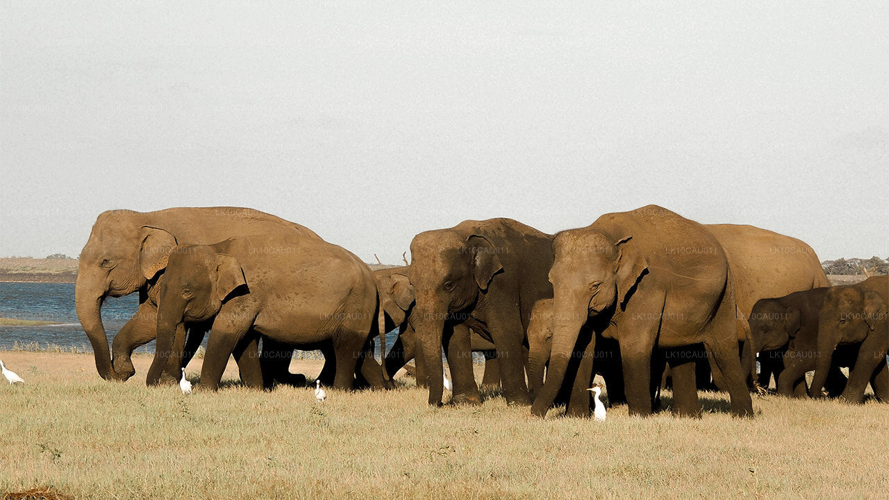 Culture et côte (12 jours)