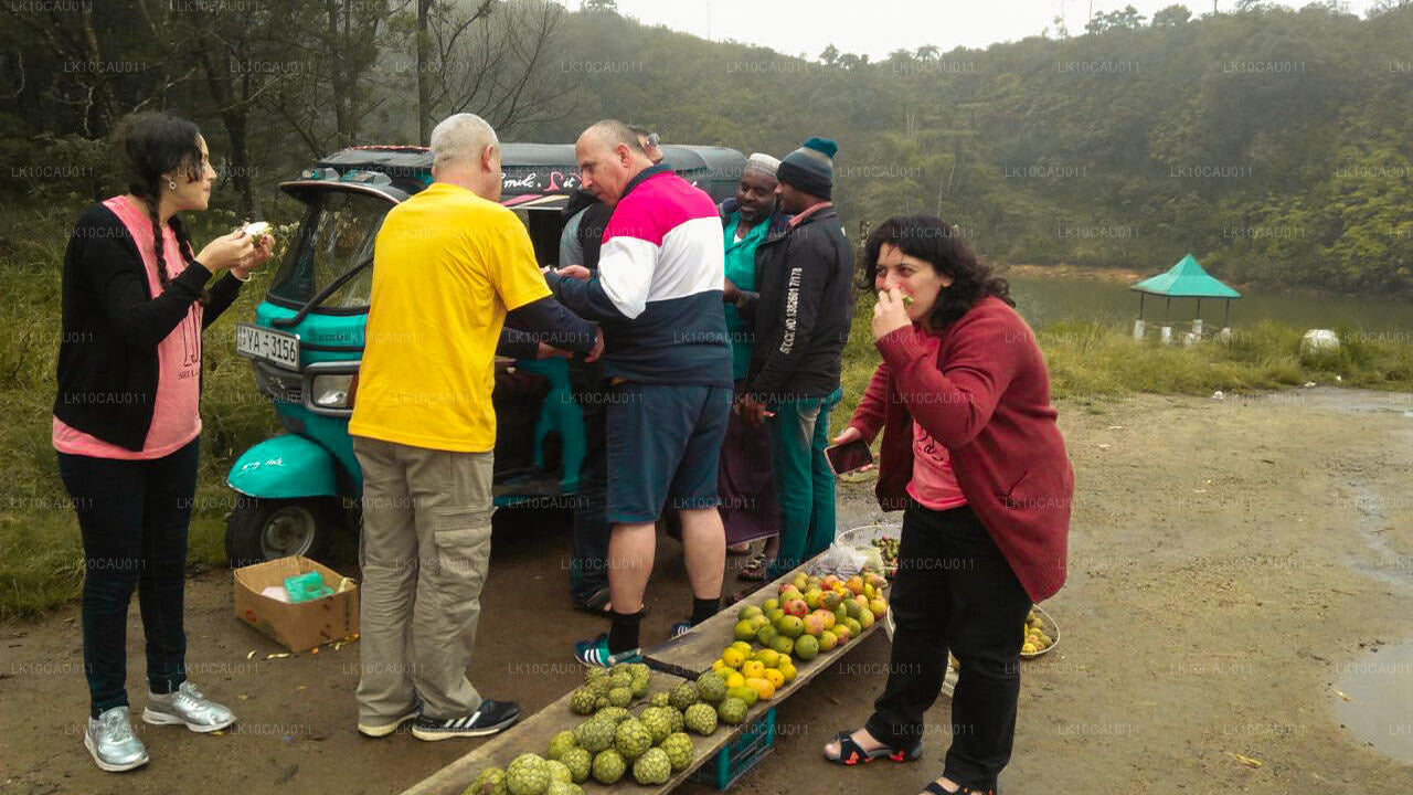 Culture et côte (12 jours)