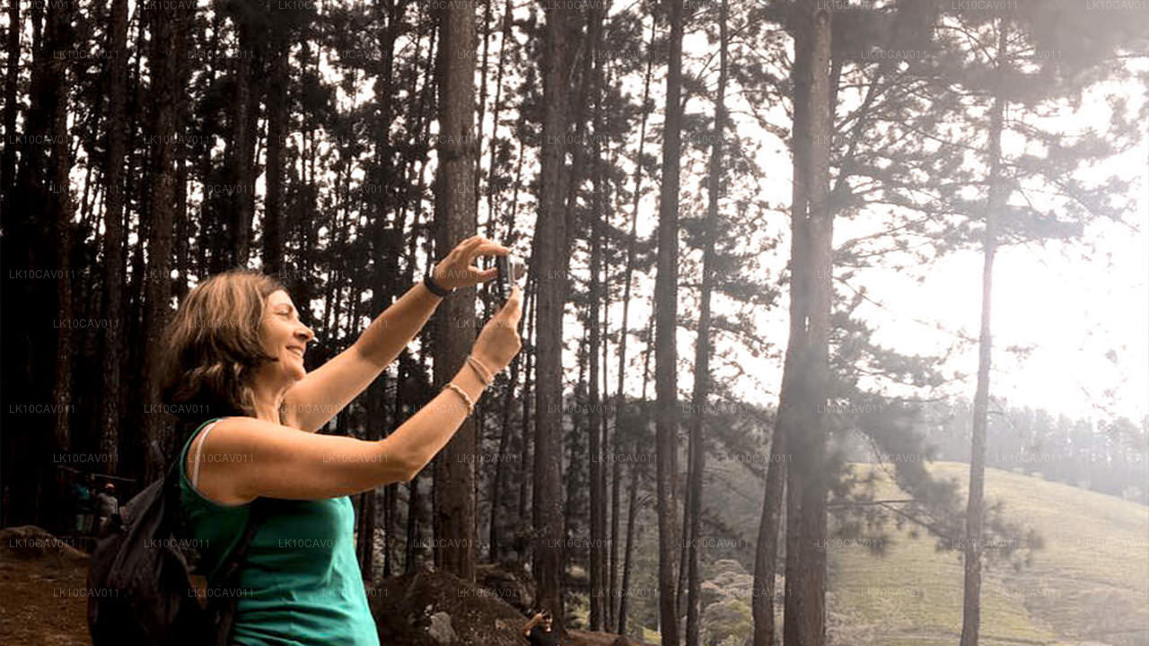 Détente et aventure (12 jours)