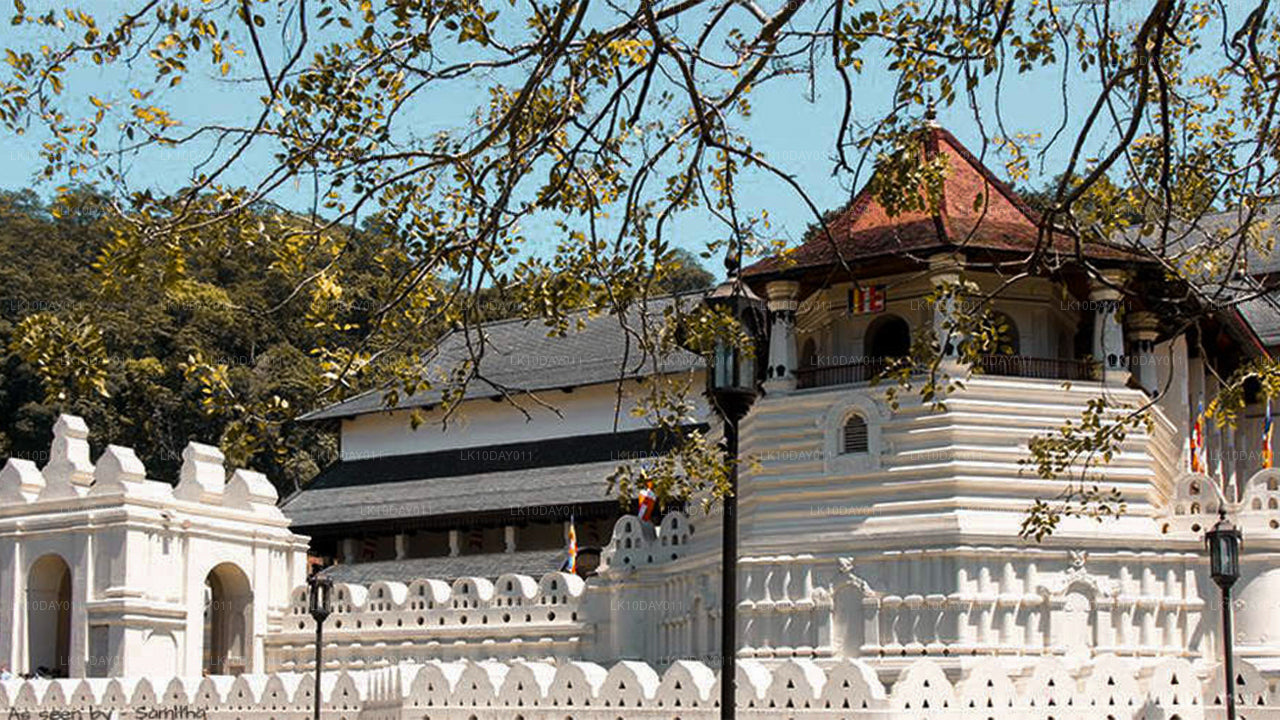 Visite de pèlerinage bouddhiste (13 jours)