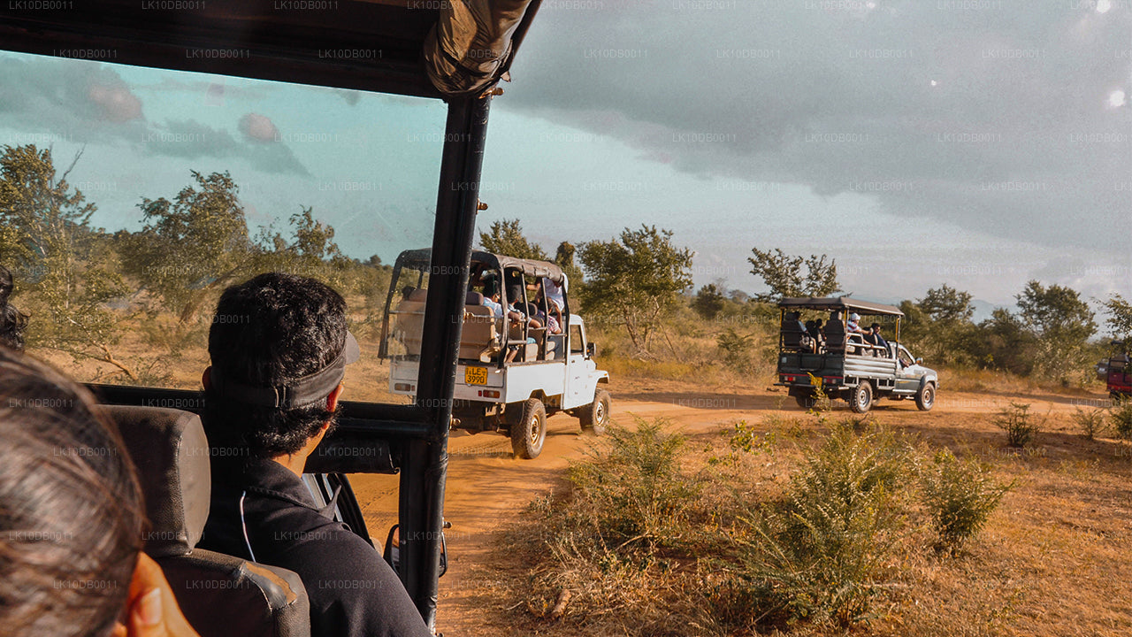 Avent à Ceylan (13 jours)