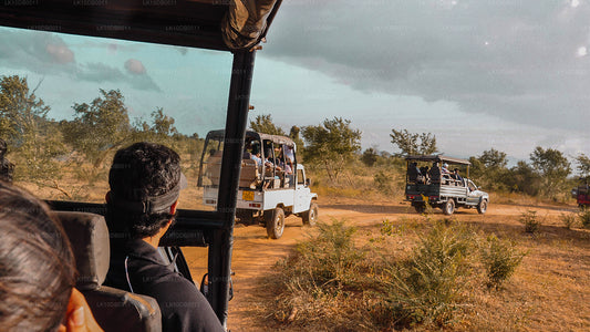 Avent à Ceylan (13 jours)