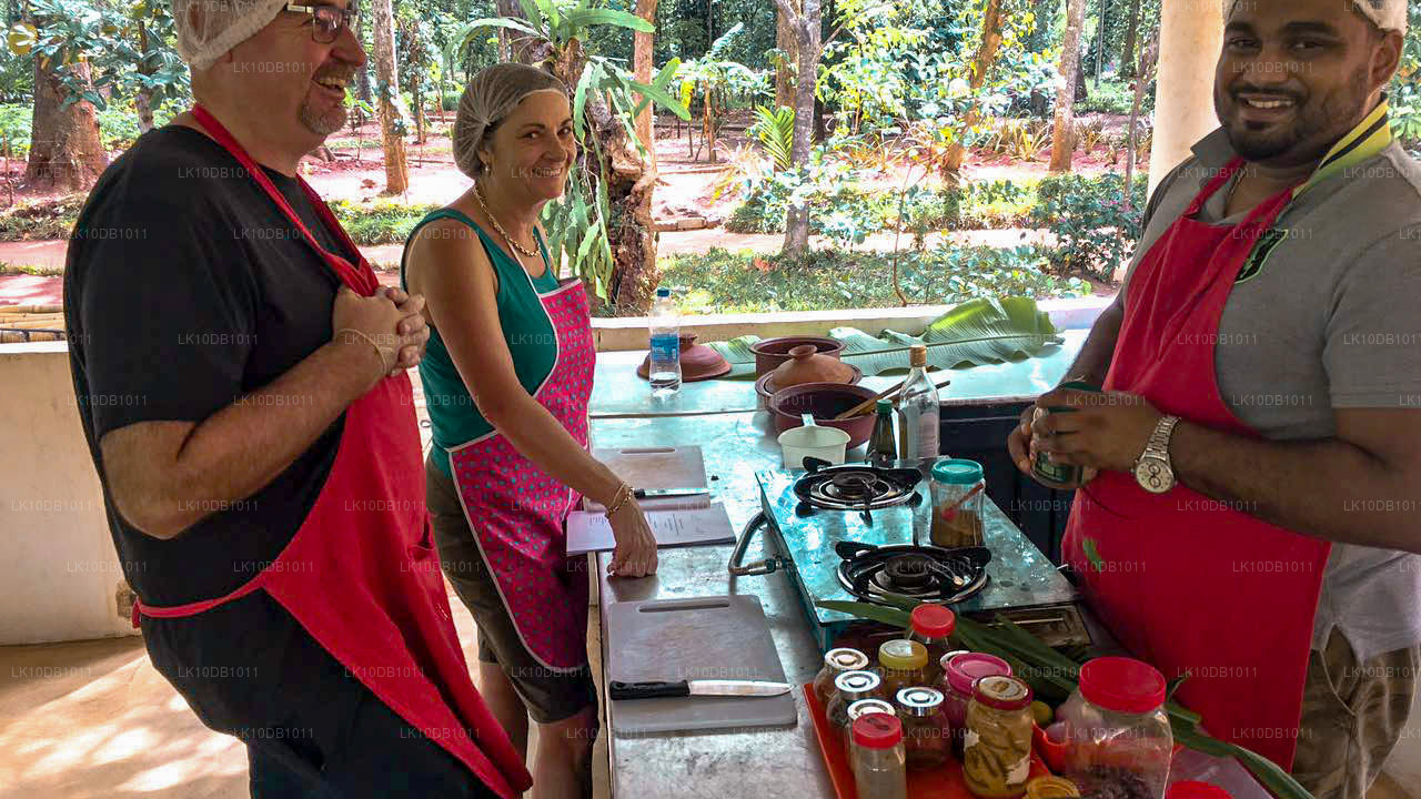 Glorious Ceylan (13 jours)