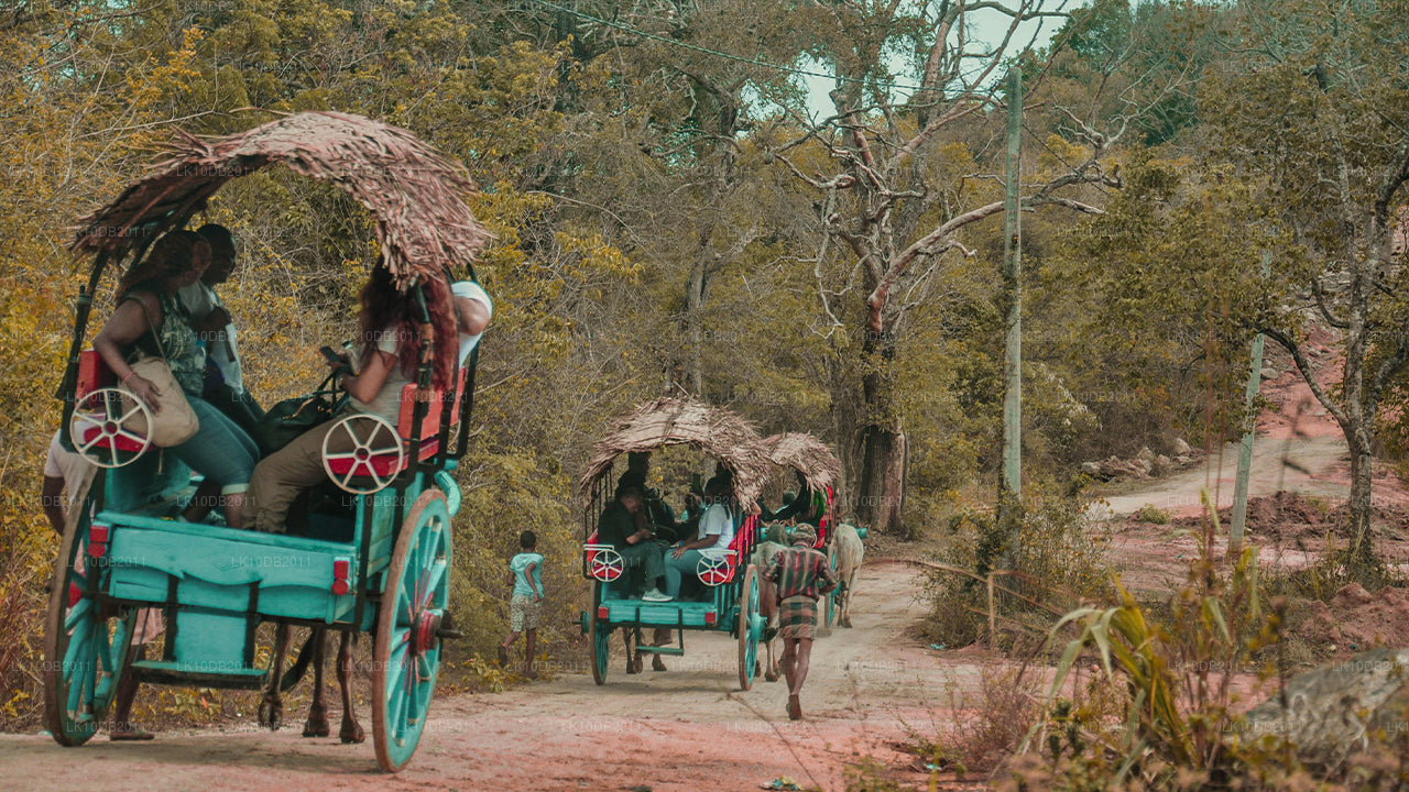 Les Contes de Taprobane (13 jours)