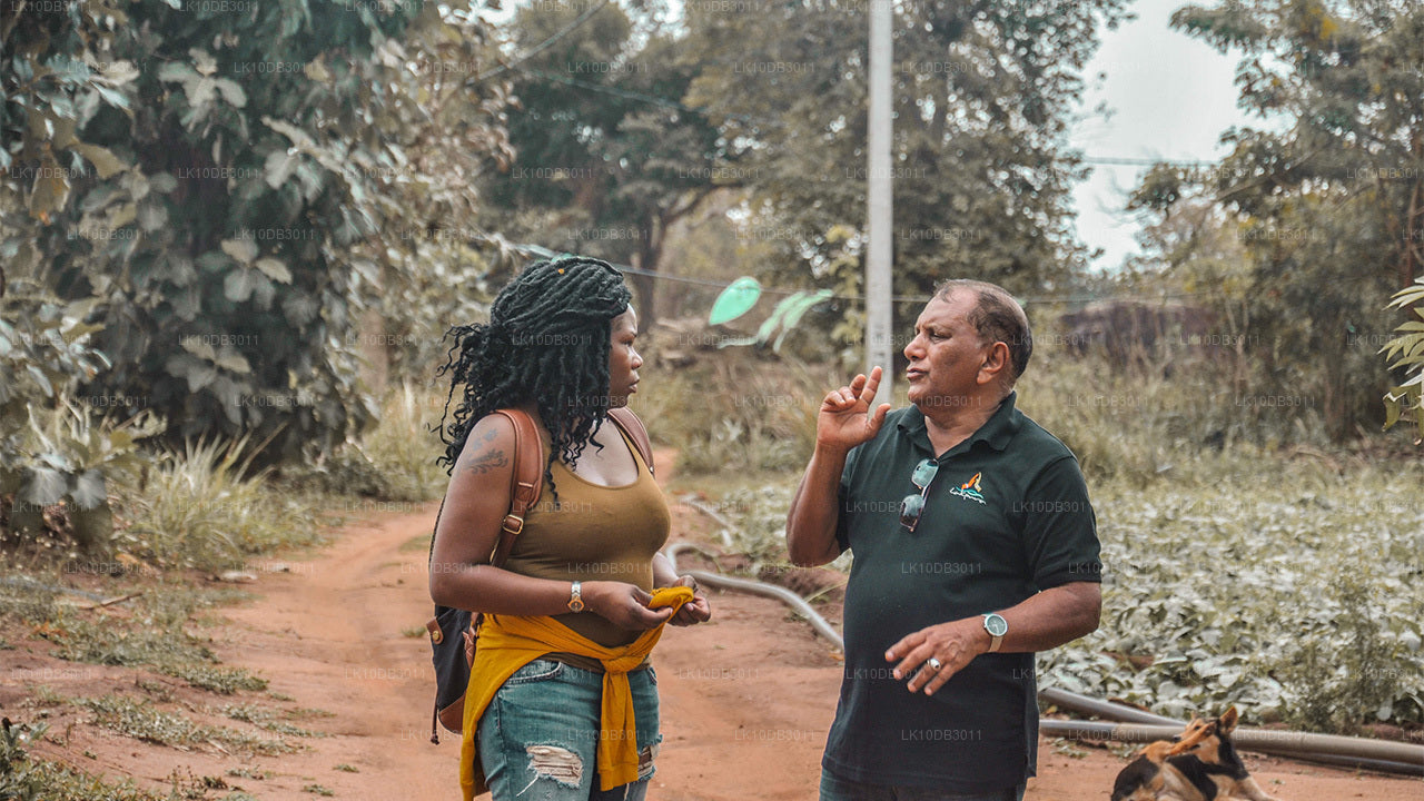 Sentier autour de Ceylan (13 jours)