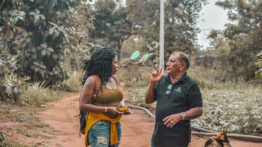 Sentier autour de Ceylan (13 jours)