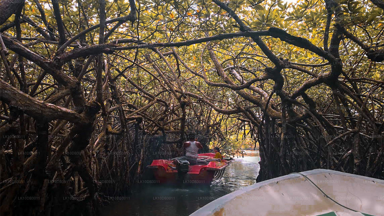 Sentier autour de Ceylan (13 jours)