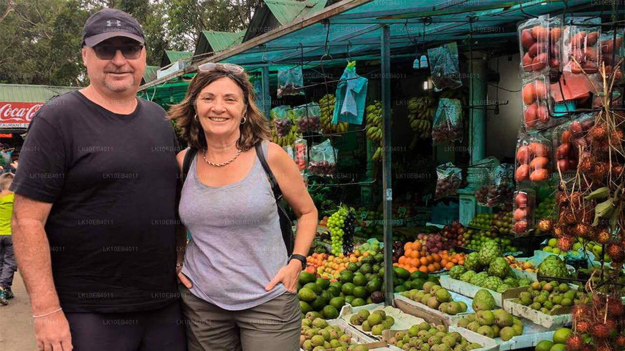 Patrimoine et plage (14 jours)