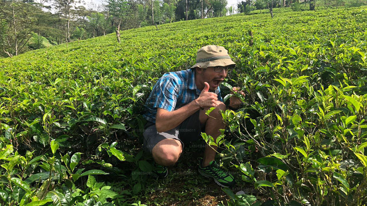 Patrimoine et plage (14 jours)