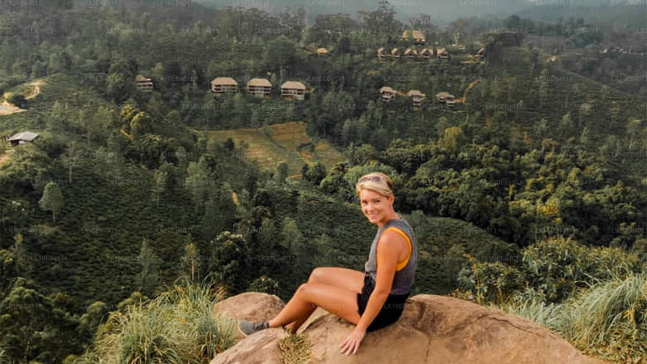 Patrimoine et plage (14 jours)