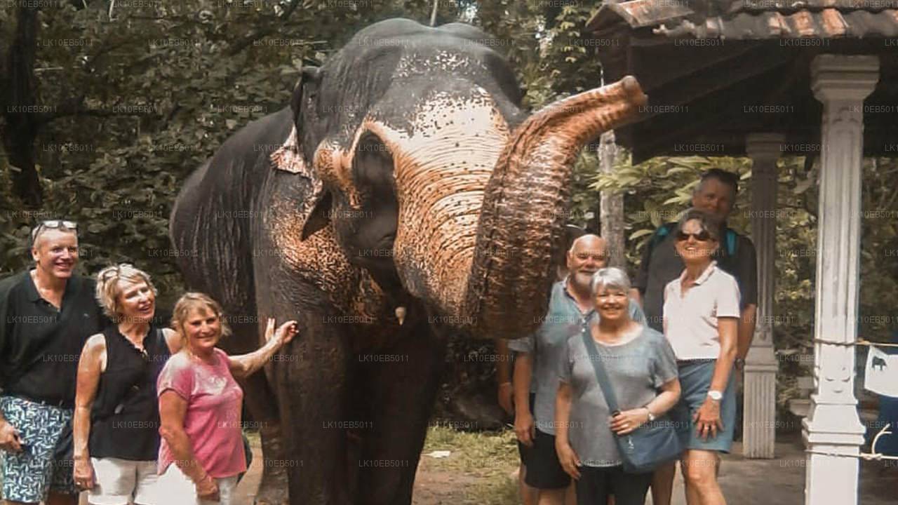 Sensation du monde (14 jours)