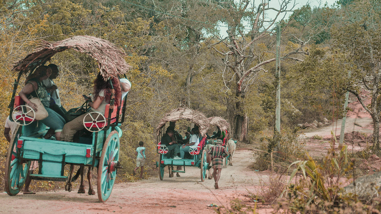 Sensation du monde (14 jours)