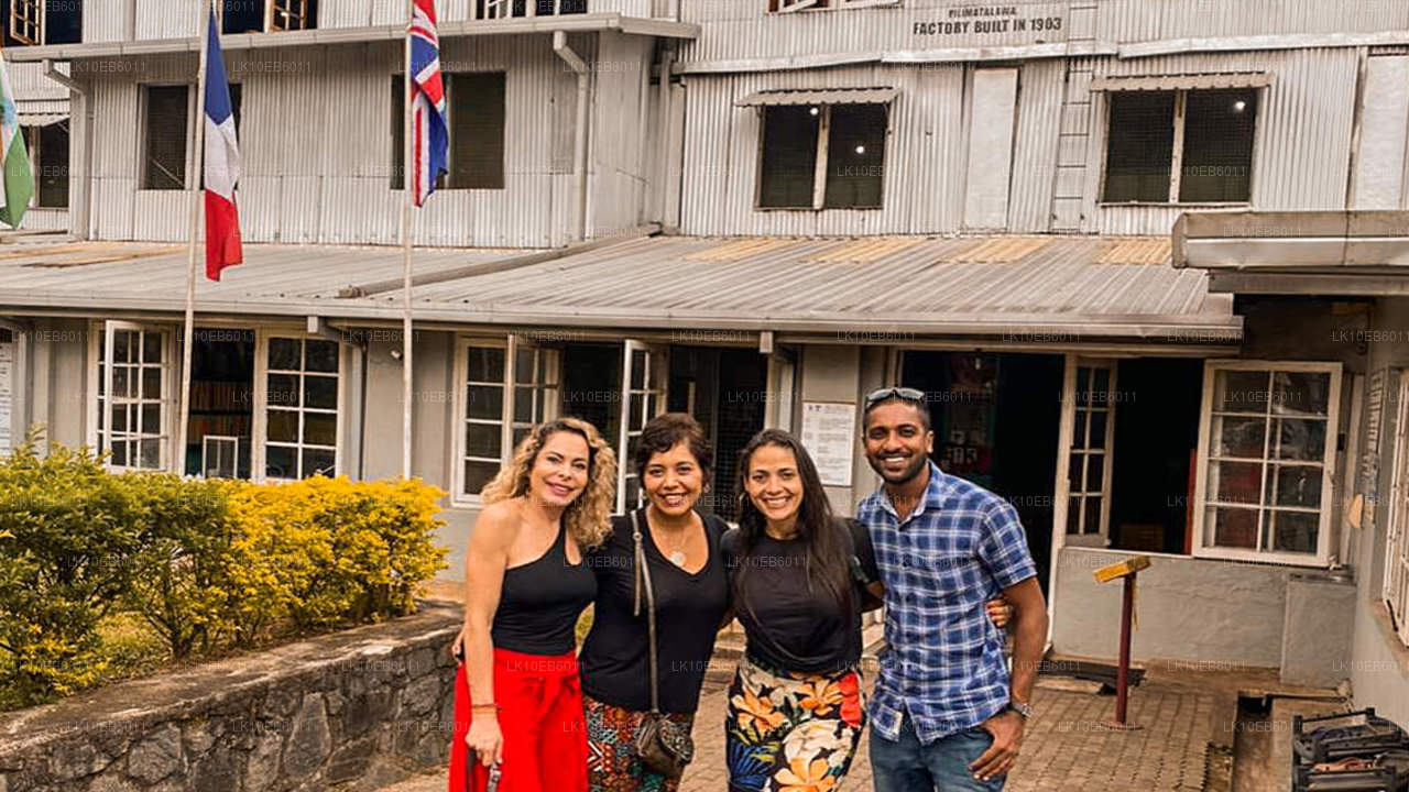 Liberté spirituelle (14 jours)