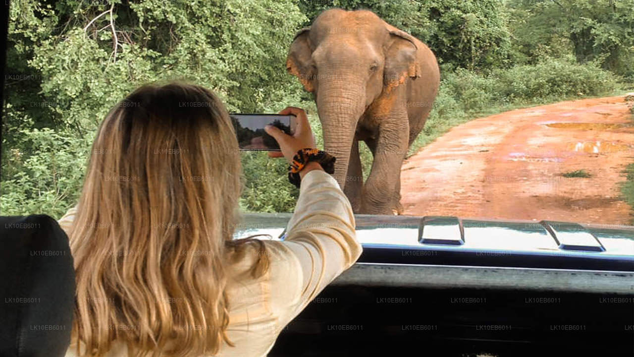 Liberté spirituelle (14 jours)