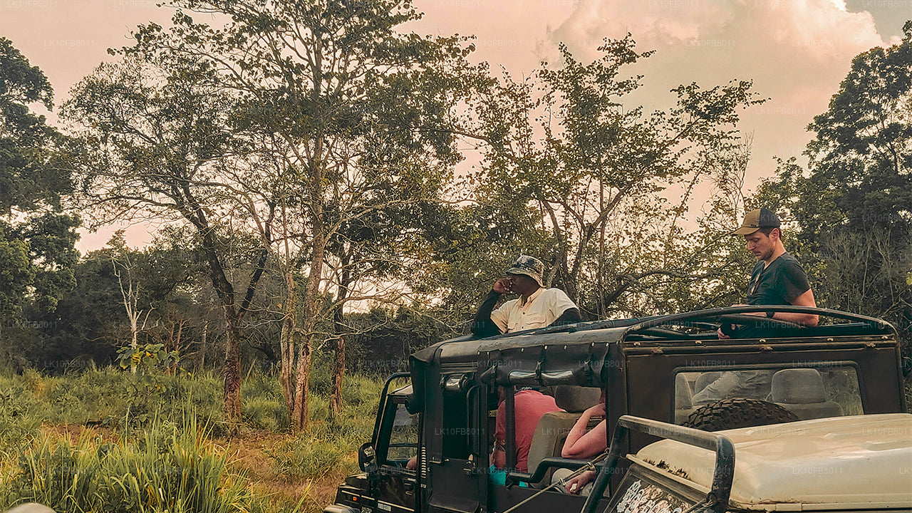 Voyages cachés (15 jours)