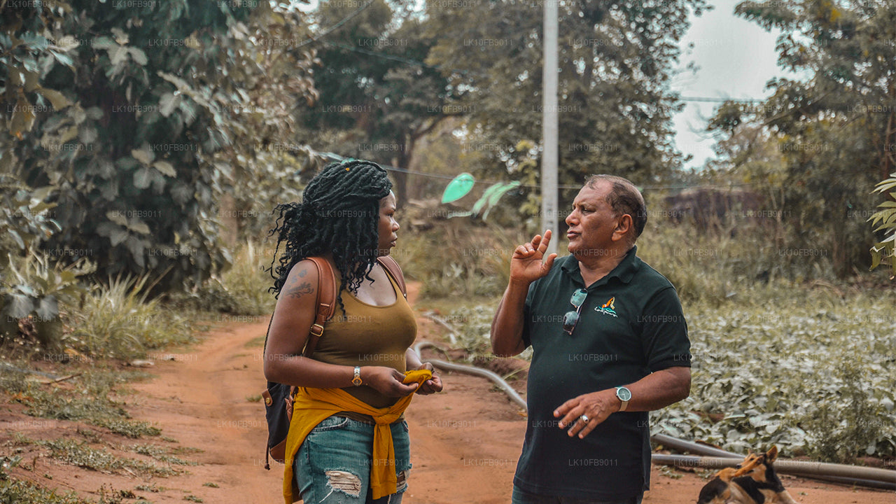 Soulagement et relaxation (15 jours)