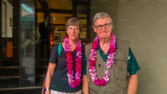 Sentier Serendipity (15 jours)