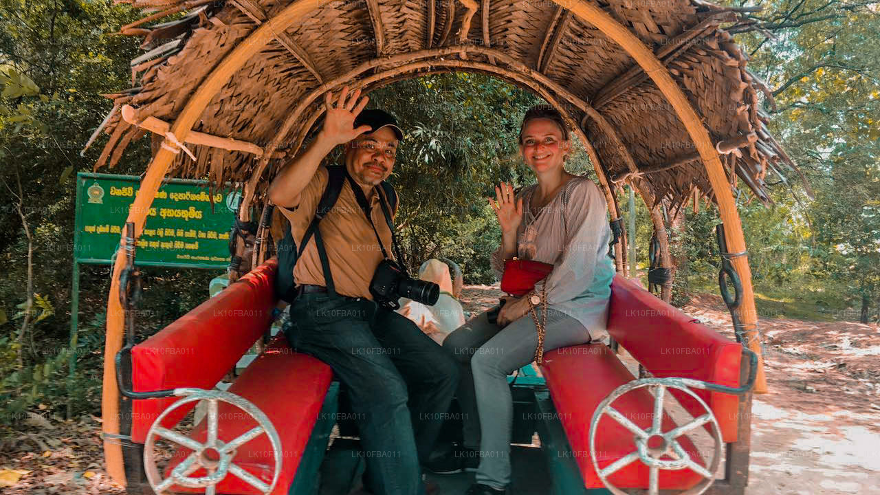 Sentier Serendipity (15 jours)