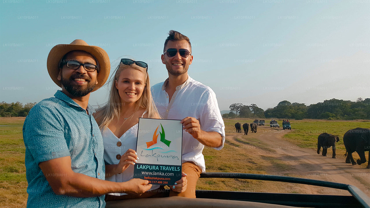 Sentier Serendipity (15 jours)