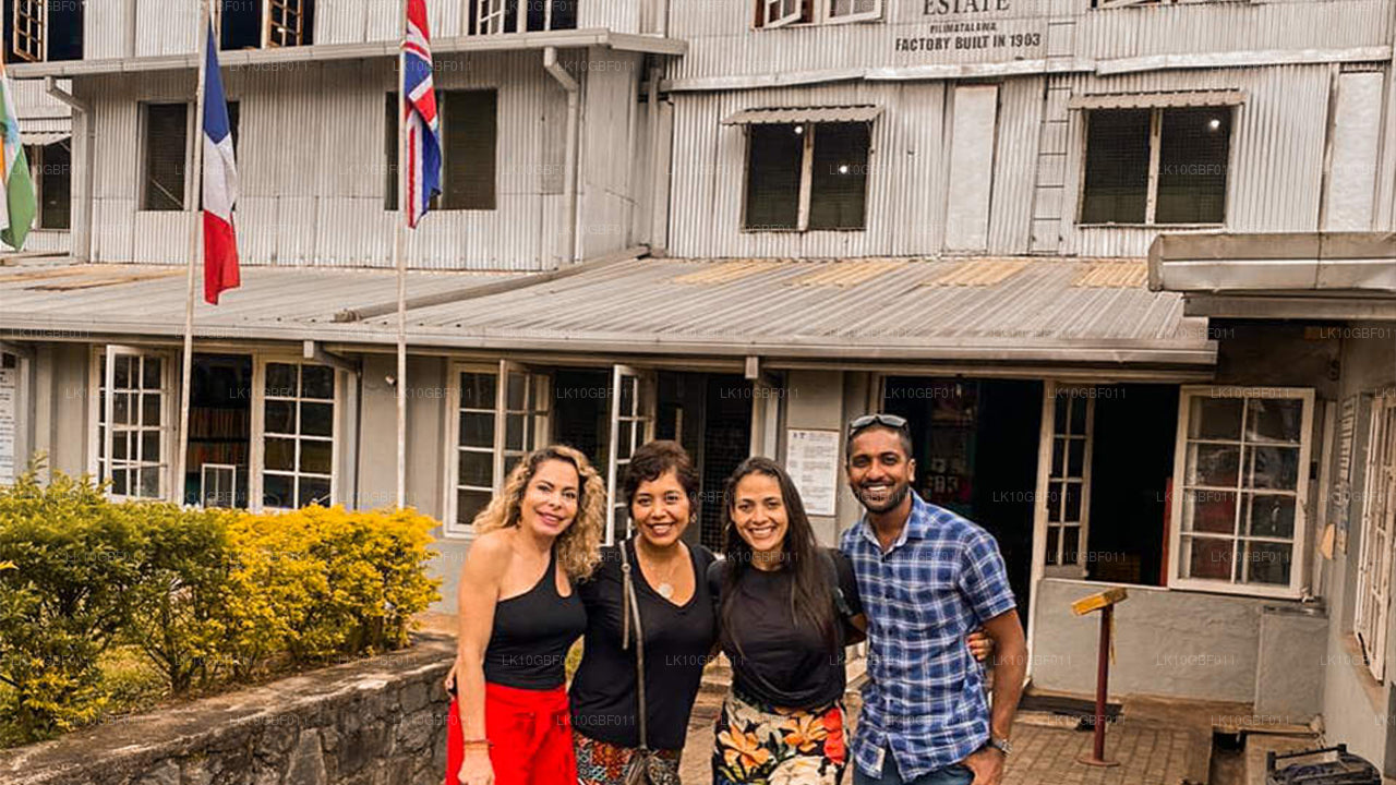 À la découverte de Serendib (16 jours)