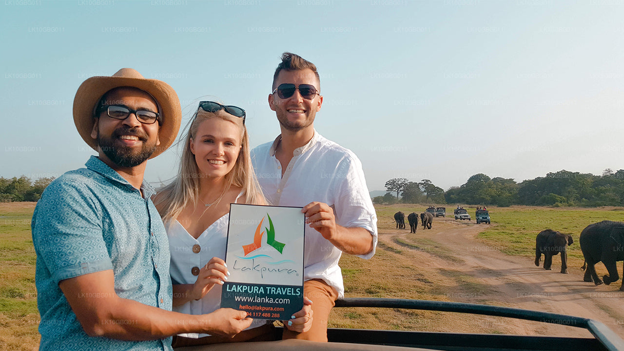 Joyaux du Sri Lanka (16 jours)