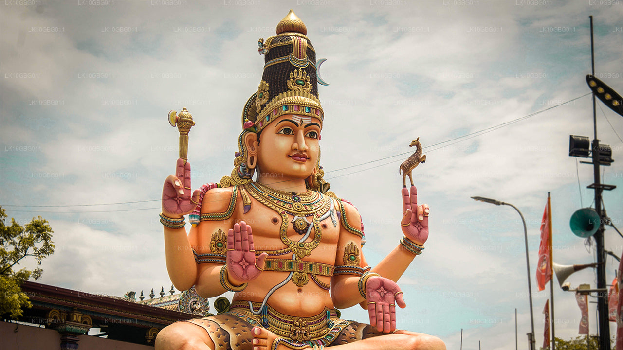 Joyaux du Sri Lanka (16 jours)