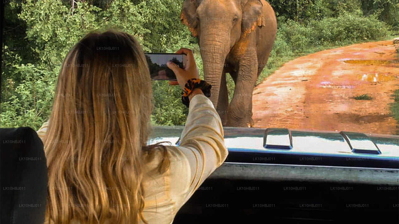 Ultimate Sri Lanka (17 jours)