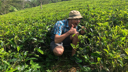 Perle inoubliable d'Asie (17 jours)