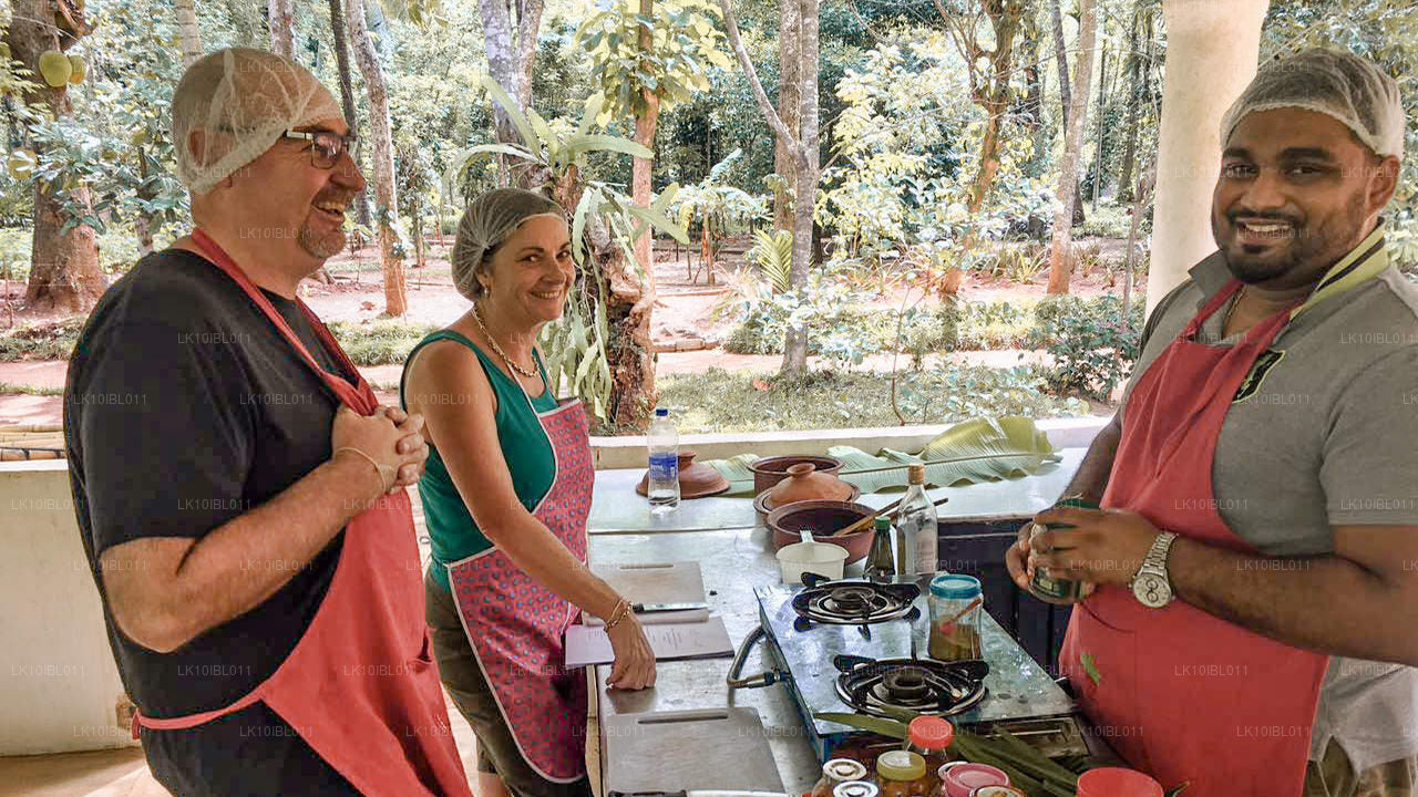 Le Sri Lanka enchanteur (18 jours)