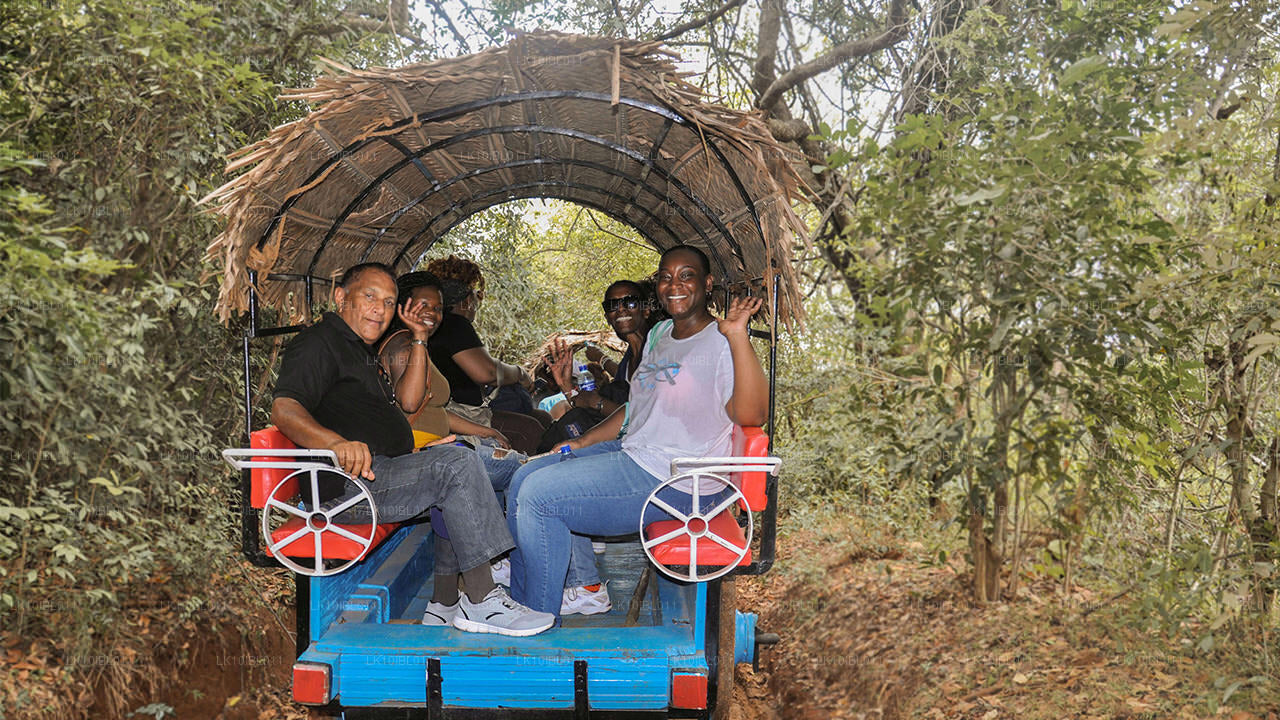 Le Sri Lanka enchanteur (18 jours)