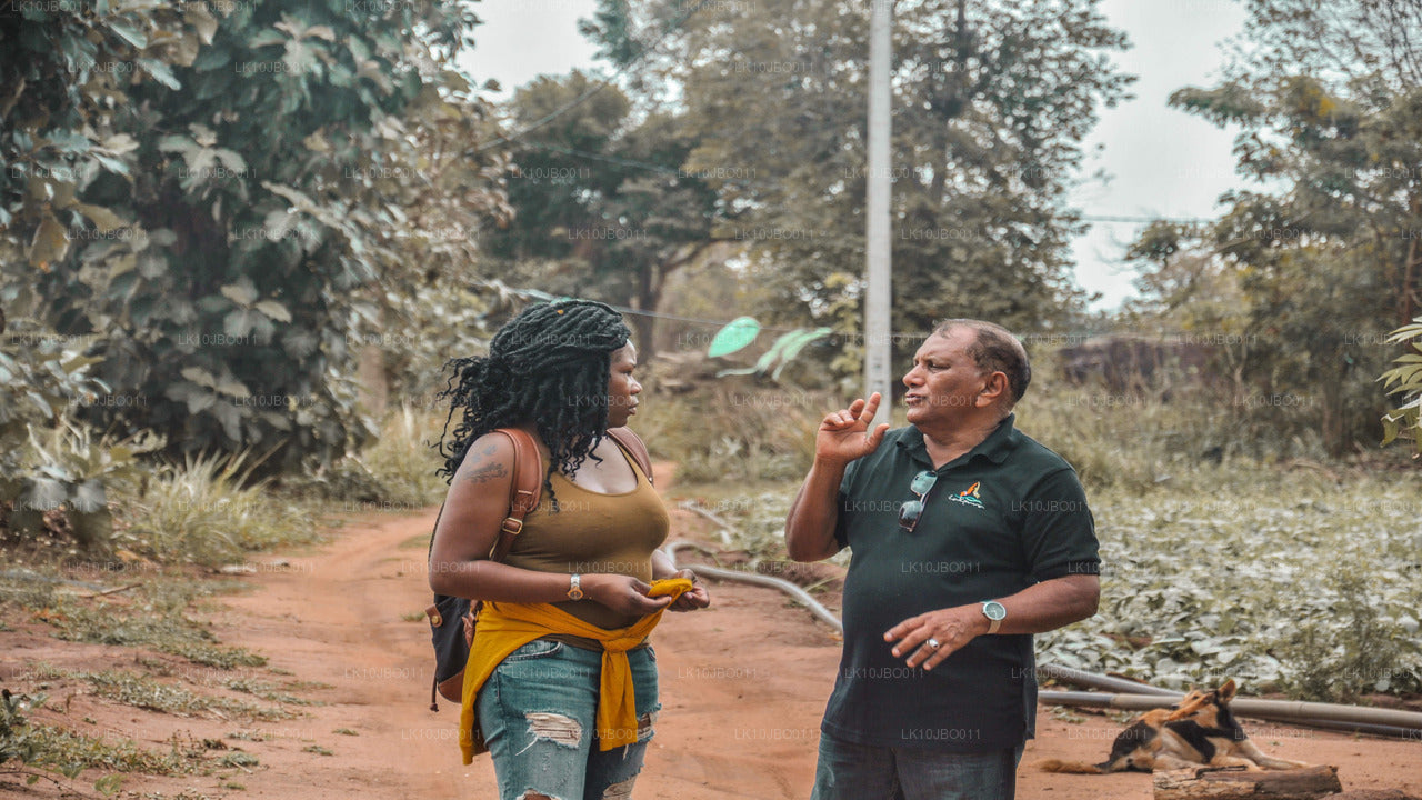 Les évasions secrètes (19 jours)