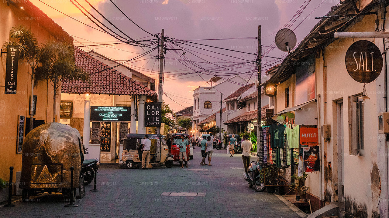 Dive On Excitement (20 jours)