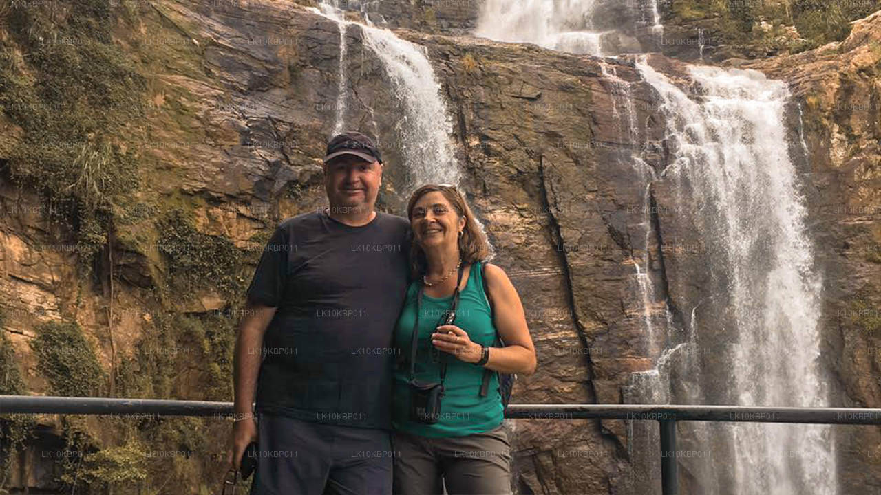 Dive On Excitement (20 jours)