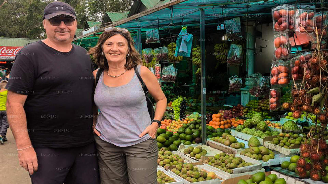 Dive On Excitement (20 jours)