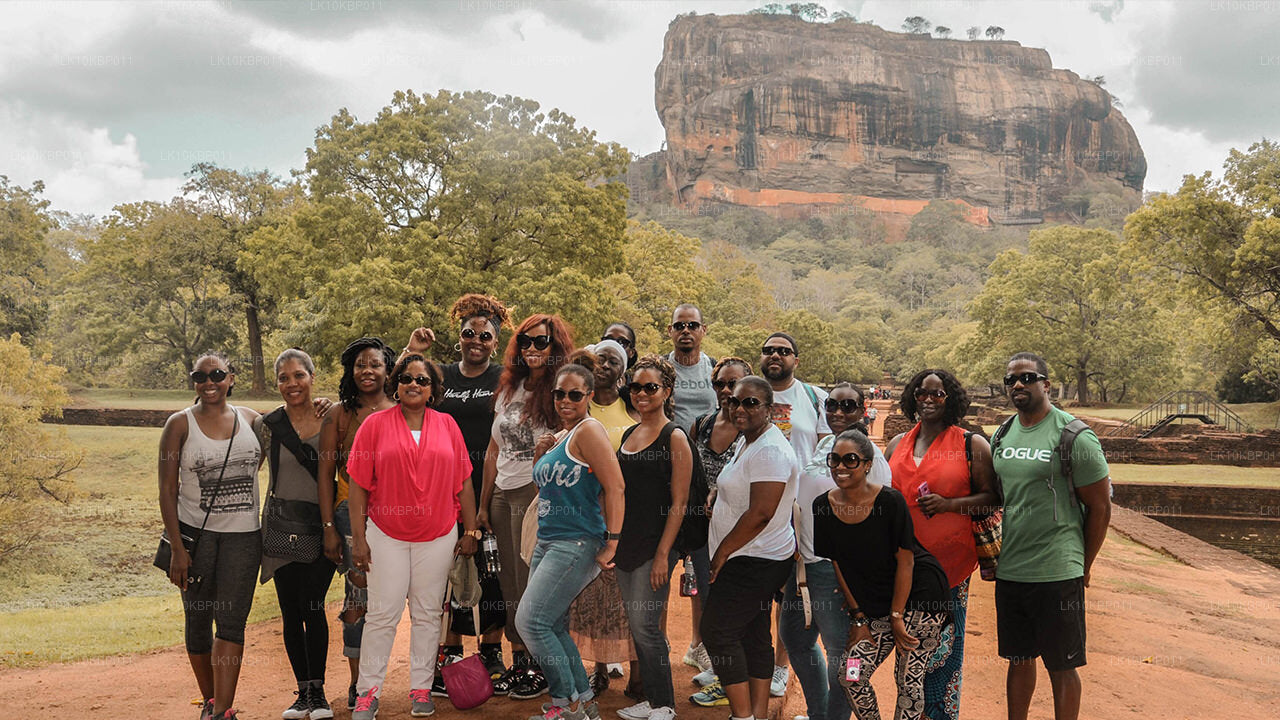 Dive On Excitement (20 jours)