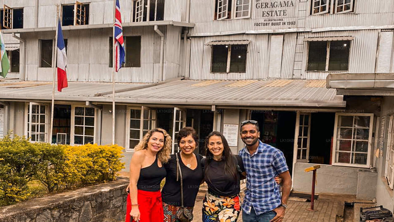 Sri Lanka classique (20 jours)