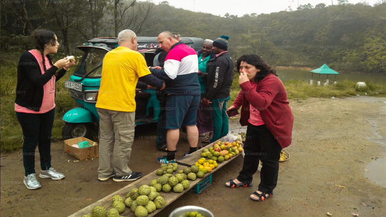 Sri Lanka classique (20 jours)