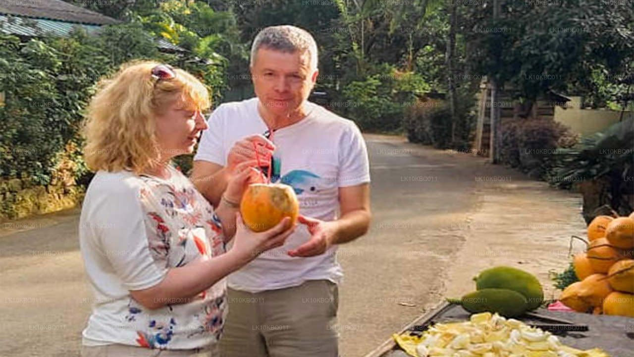 Sri Lanka classique (20 jours)