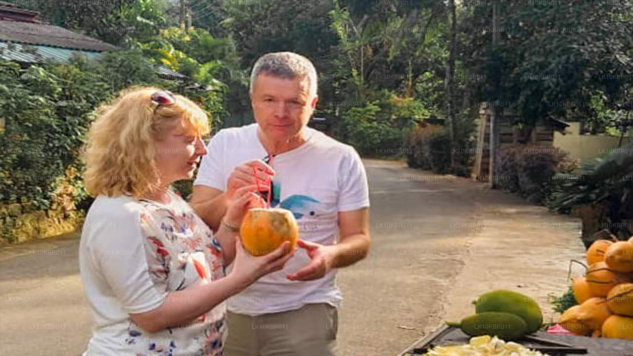 Couleurs du Sri Lanka (20 jours)