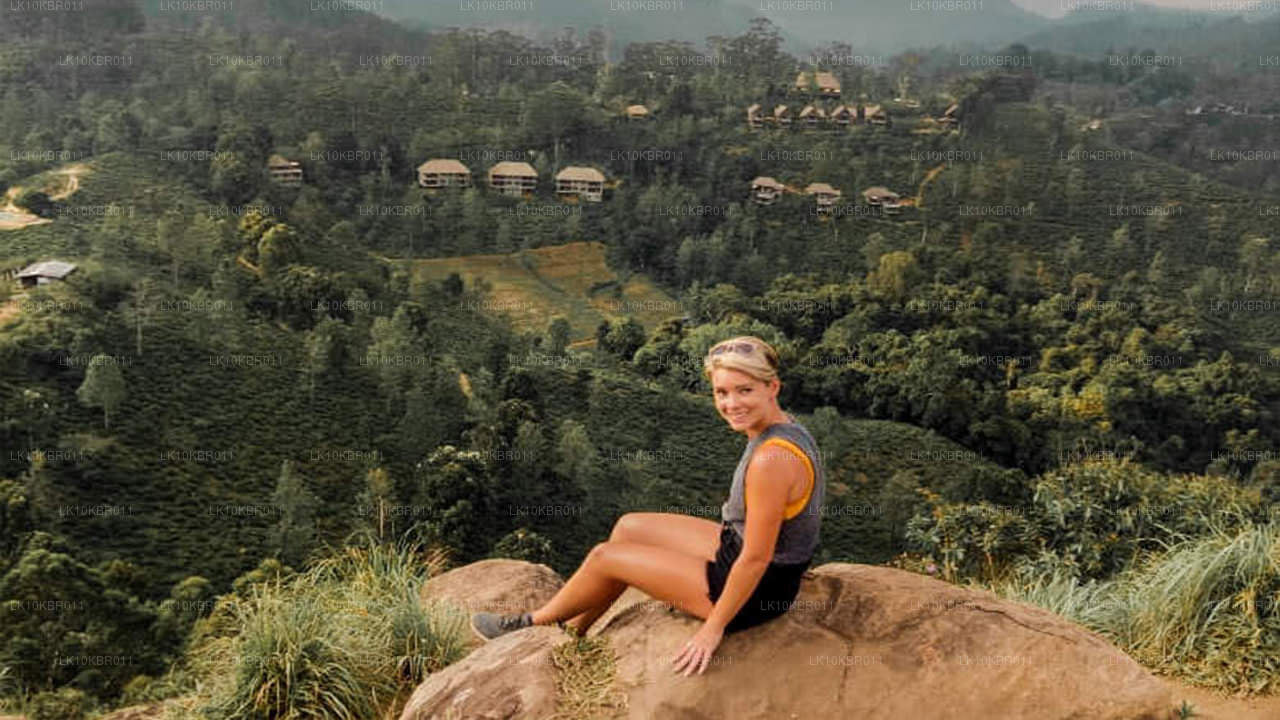 Couleurs du Sri Lanka (20 jours)