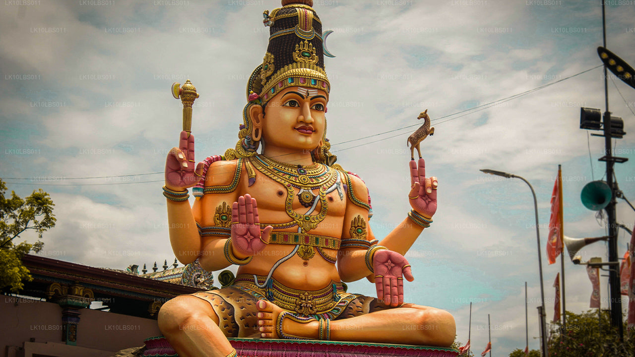 East Explorer (21 jours)