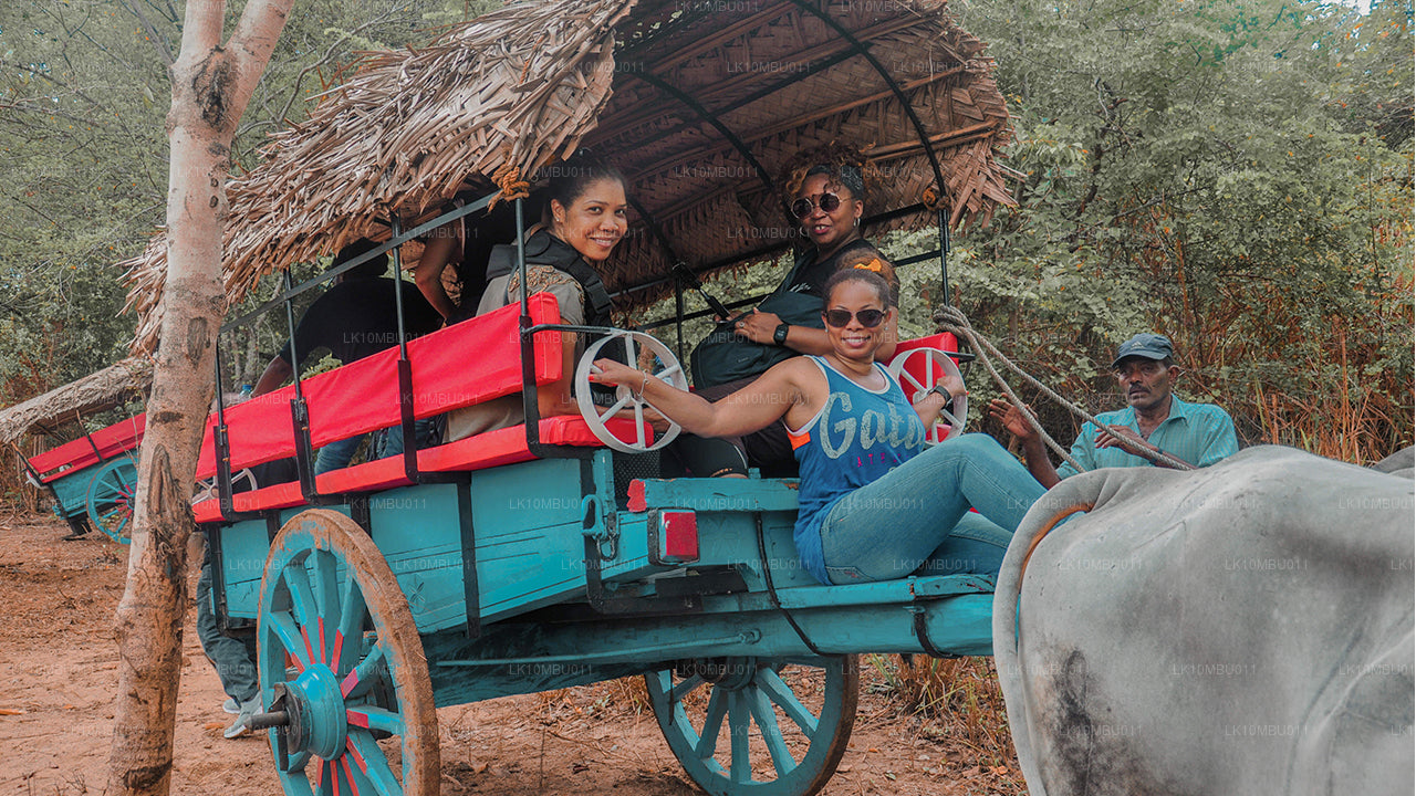 Le glamour du Sri Lanka (22 jours)