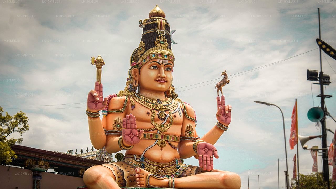 Le glamour du Sri Lanka (22 jours)