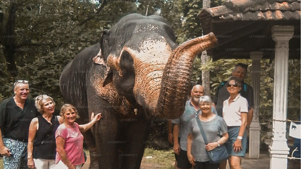 Les temples et la nature (22 jours)