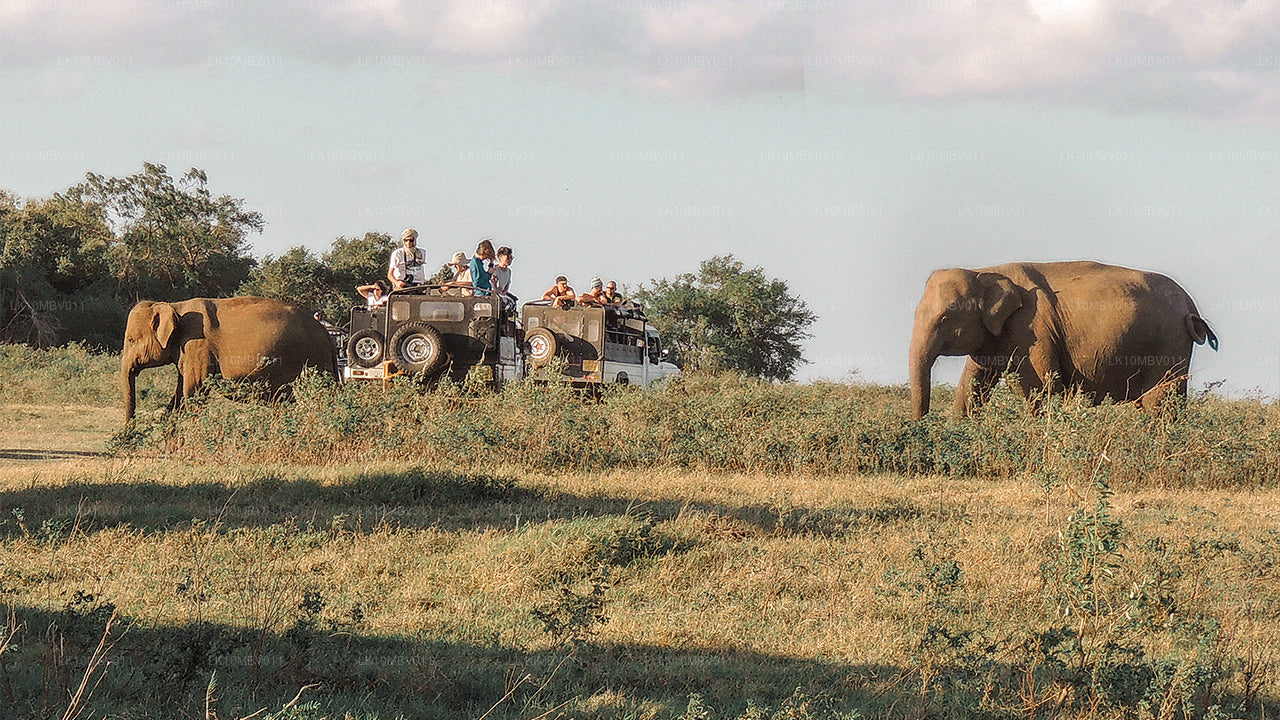 Les temples et la nature (22 jours)