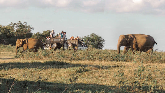 Les temples et la nature (22 jours)
