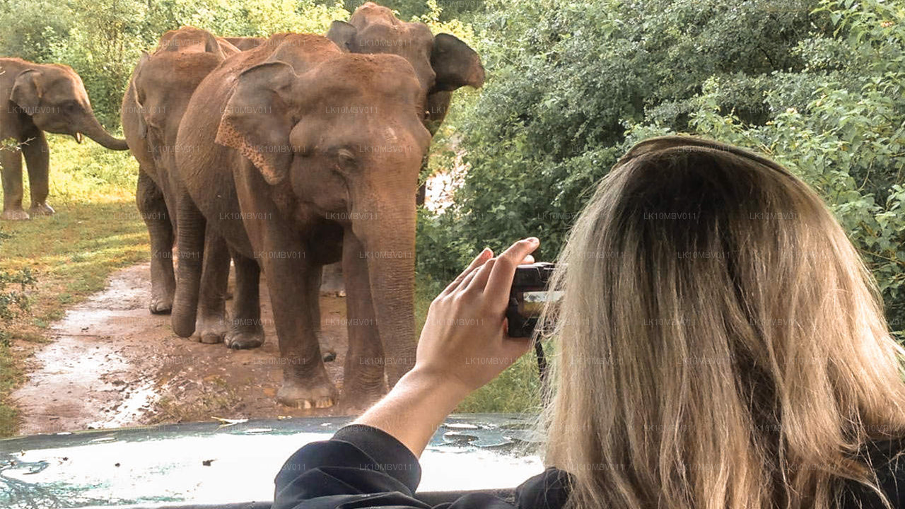 Les temples et la nature (22 jours)